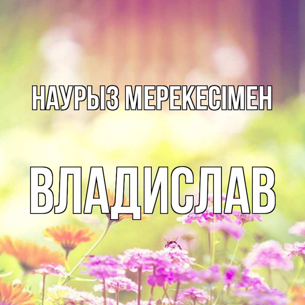Күн сайын ашық хат с именем, Владислав Наурыз мерекесімен цветы весна Онлайн тегін жүктеп алу тілектері бар керемет карта 