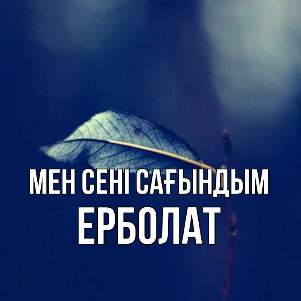 Күн сайын ашық хат с именем, Ерболат Мен сені сағындым одна ветка 1 Онлайн тегін жүктеп алу тілектері бар керемет карта 