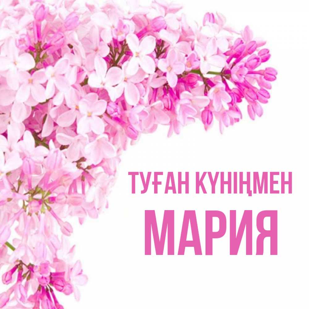 Күн сайын ашық хат с именем, МАРИЯ Туған күніңмен Сирень на белом фоне Онлайн тегін жүктеп алу тілектері бар керемет карта 