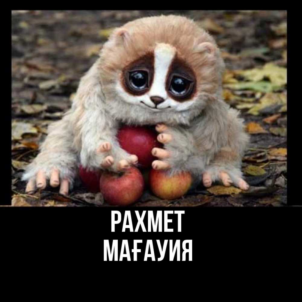 Күн сайын ашық хат с именем, МАҒАУИЯ рахмет прикольное животное Онлайн тегін жүктеп алу тілектері бар керемет карта 
