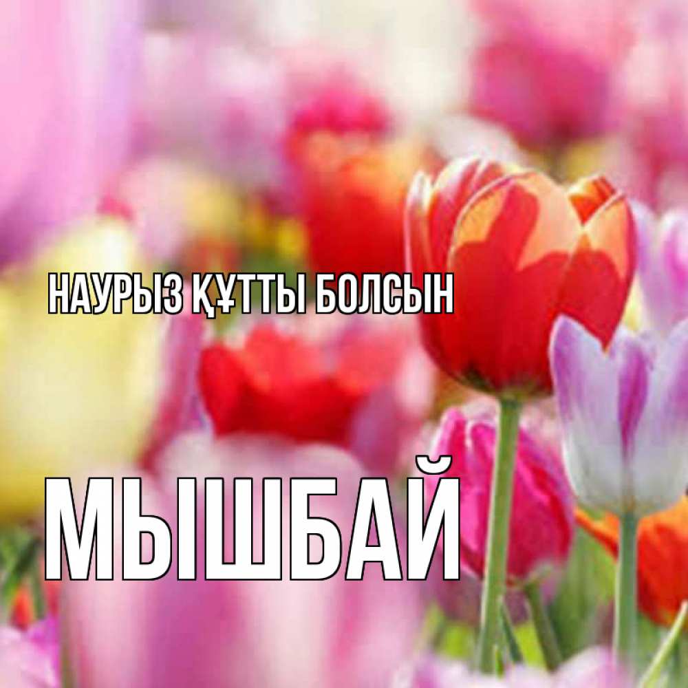 Күн сайын ашық хат с именем, МЫШБАЙ Наурыз құтты болсын на наурыз  2 Онлайн тегін жүктеп алу тілектері бар керемет карта 