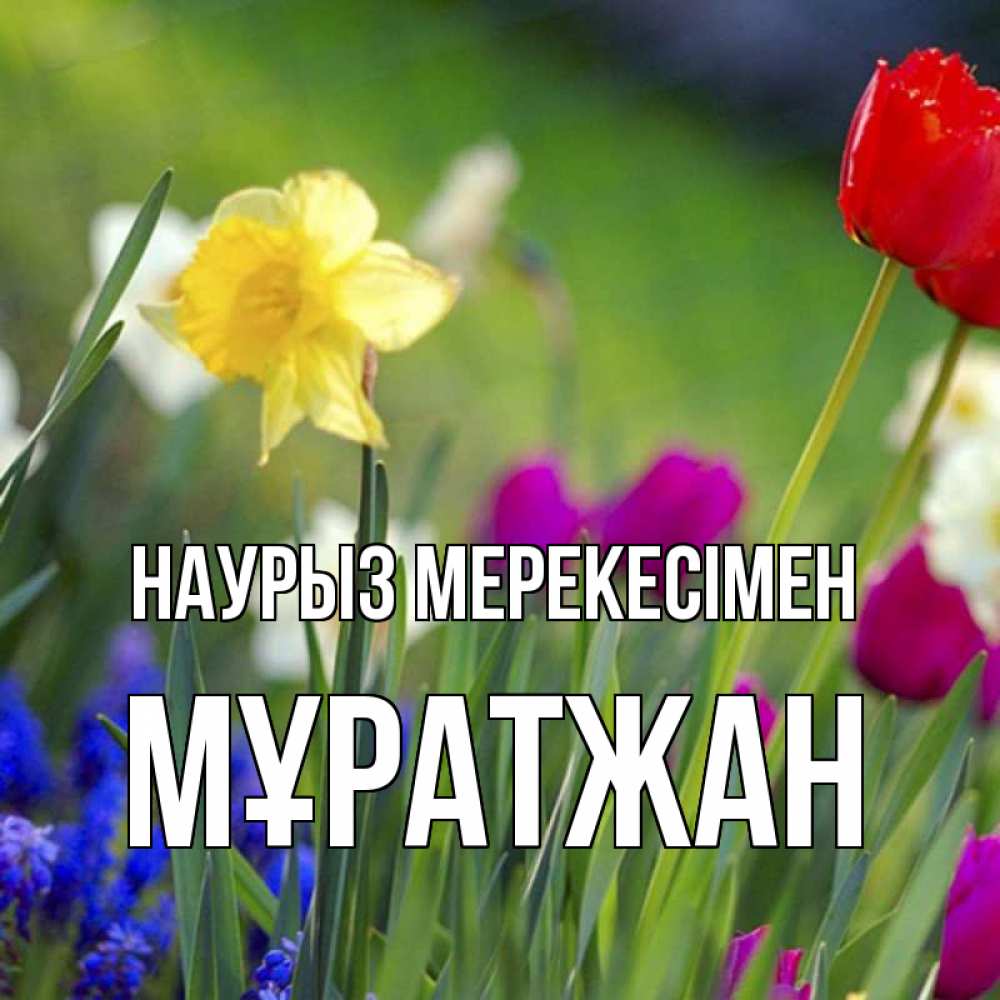 Күн сайын ашық хат с именем, Мұратжан Наурыз мерекесімен праздник весны наурыз 3 Онлайн тегін жүктеп алу тілектері бар керемет карта 