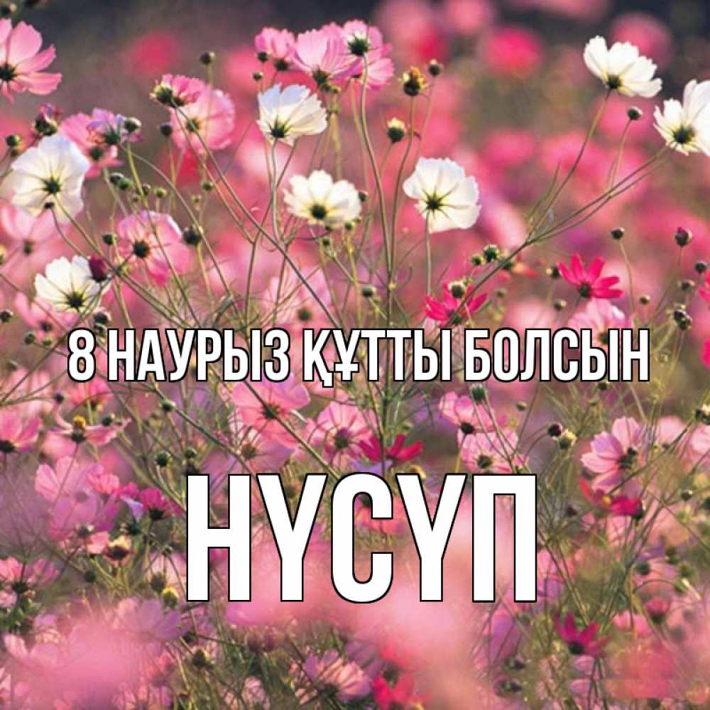 Күн сайын ашық хат с именем, НҮСҮП 8 наурыз құтты болсын красиво 1 Онлайн тегін жүктеп алу тілектері бар керемет карта 