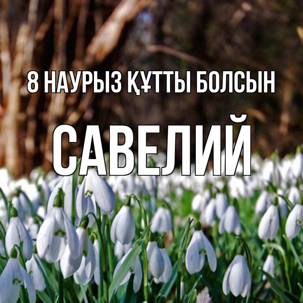 Күн сайын ашық хат с именем, Савелий 8 наурыз құтты болсын с подснежниками 1 Онлайн тегін жүктеп алу тілектері бар керемет карта 