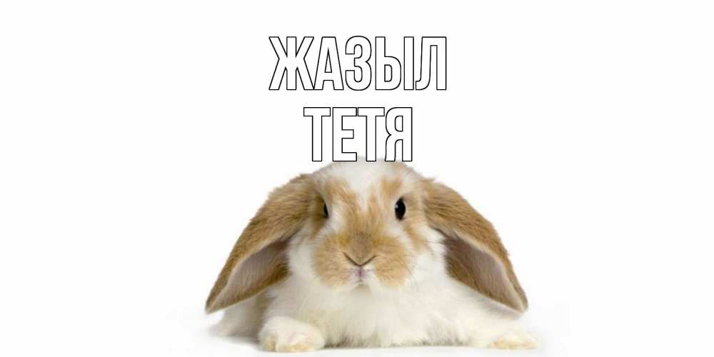 Күн сайын ашық хат с именем, Тетя Жазыл вислоухий кролик белого и коричневого цвета Онлайн тегін жүктеп алу тілектері бар керемет карта 