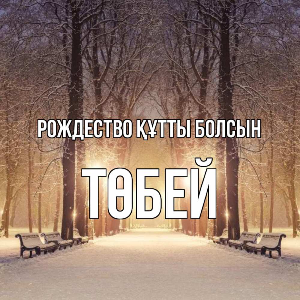 Күн сайын ашық хат с именем, ТӨБЕЙ Рождество құтты болсын зима, парк, фонарь, лес Онлайн тегін жүктеп алу тілектері бар керемет карта 