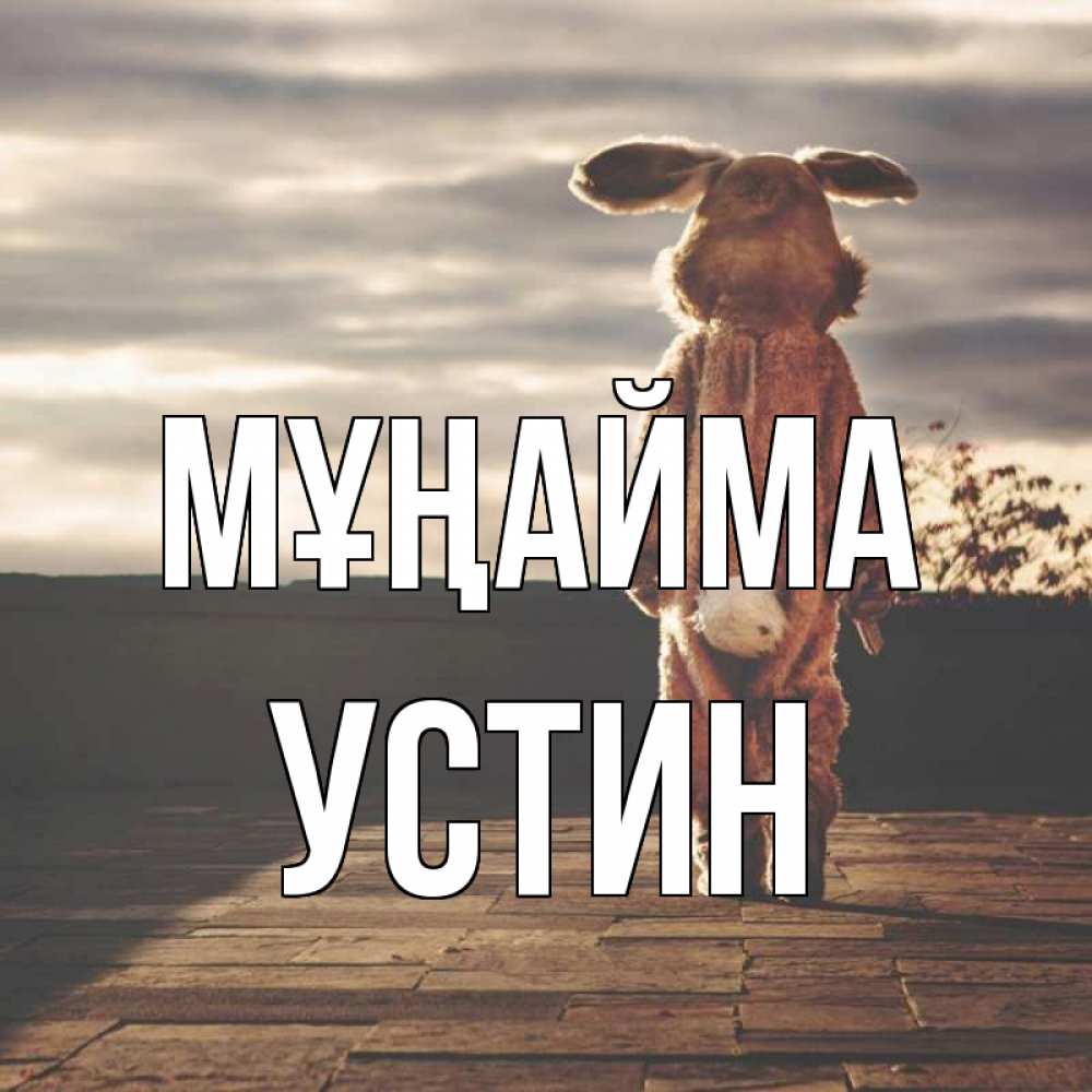 Күн сайын ашық хат с именем, Устин Мұңайма со спины Онлайн тегін жүктеп алу тілектері бар керемет карта 