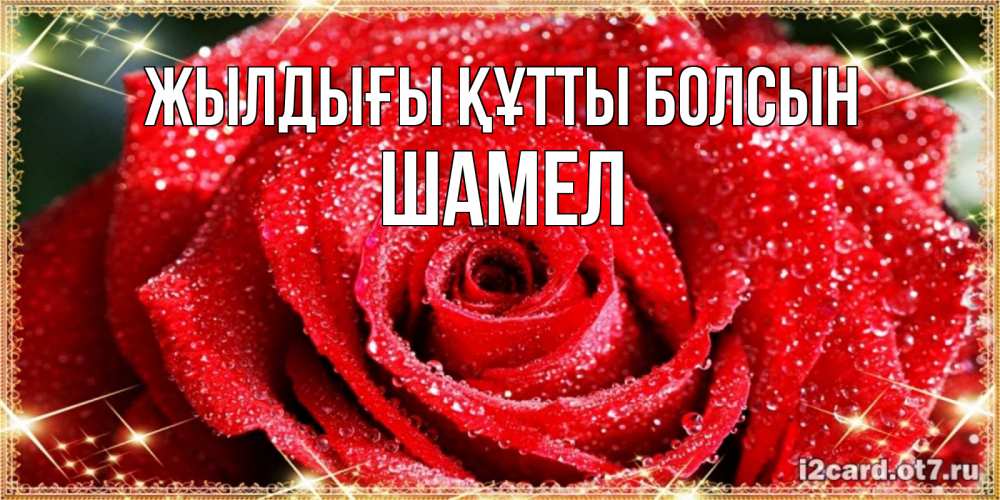 Күн сайын ашық хат с именем, ШАМЕЛ Жылдығы құтты болсын роса и роза. открытка с красивой розой Онлайн тегін жүктеп алу тілектері бар керемет карта 