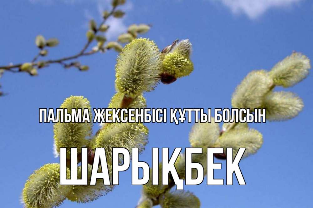 Күн сайын ашық хат с именем, ШАРЫҚБЕК Пальма жексенбісі құтты болсын верба Онлайн тегін жүктеп алу тілектері бар керемет карта 