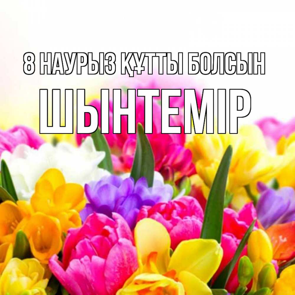 Күн сайын ашық хат с именем, ШЫНТЕМІР 8 наурыз құтты болсын тюльпаны Онлайн тегін жүктеп алу тілектері бар керемет карта 