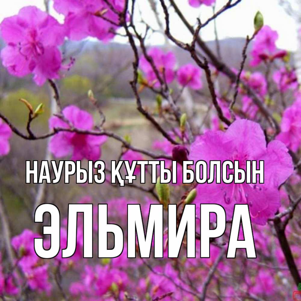 Күн сайын ашық хат с именем, Эльмира Наурыз құтты болсын наурыз мейрамы кутты болсын Онлайн тегін жүктеп алу тілектері бар керемет карта 