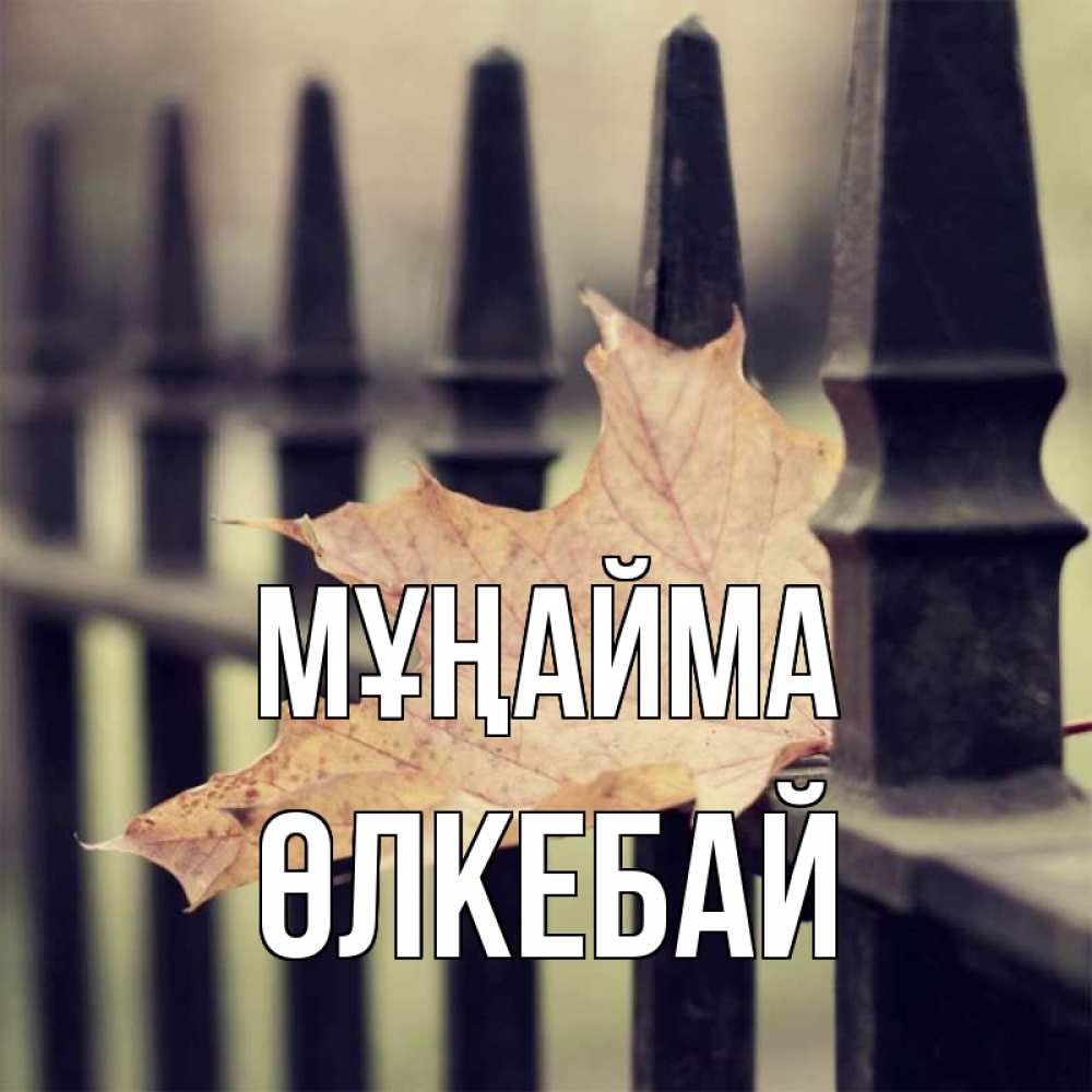 Күн сайын ашық хат с именем, ӨЛКЕБАЙ Мұңайма лист клена Онлайн тегін жүктеп алу тілектері бар керемет карта 