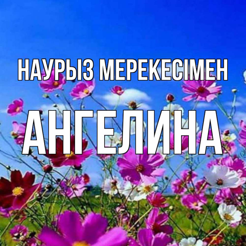Күн сайын ашық хат с именем, Ангелина Наурыз мерекесімен цветы Онлайн тегін жүктеп алу тілектері бар керемет карта 