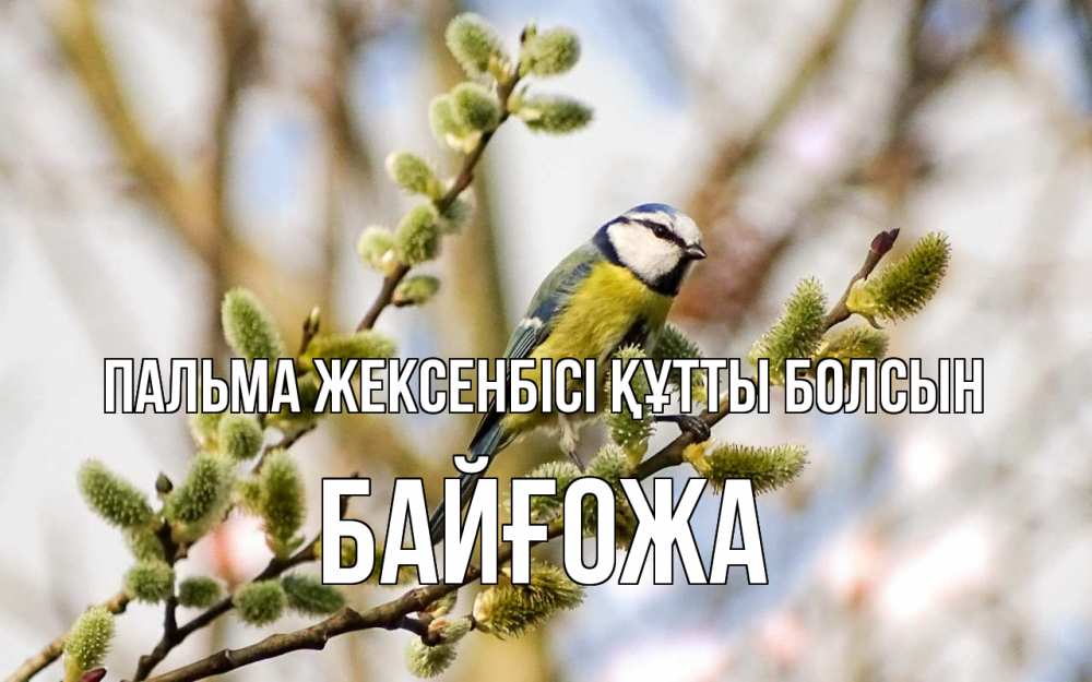 Күн сайын ашық хат с именем, Байғожа Пальма жексенбісі құтты болсын верба Онлайн тегін жүктеп алу тілектері бар керемет карта 
