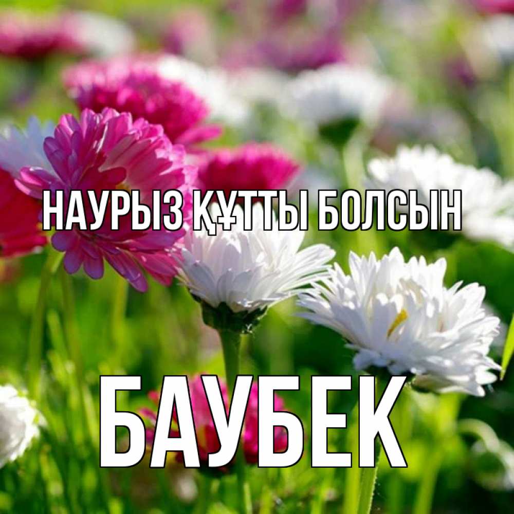 Күн сайын ашық хат с именем, Баубек Наурыз құтты болсын наурыз Онлайн тегін жүктеп алу тілектері бар керемет карта 
