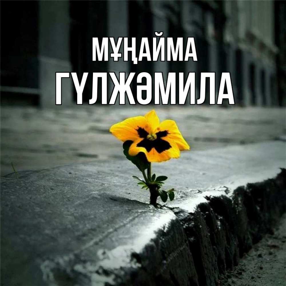Күн сайын ашық хат с именем, ГҮЛЖӘМИЛА Мұңайма не сдавайся Онлайн тегін жүктеп алу тілектері бар керемет карта 