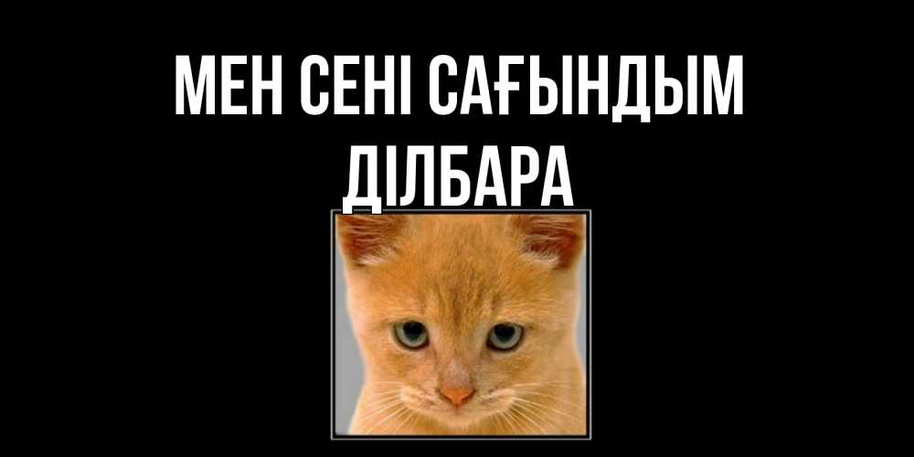 Күн сайын ашық хат с именем, ДІЛБАРА Мен сені сағындым открытки рыжий котенок скучает по тебе Онлайн тегін жүктеп алу тілектері бар керемет карта 