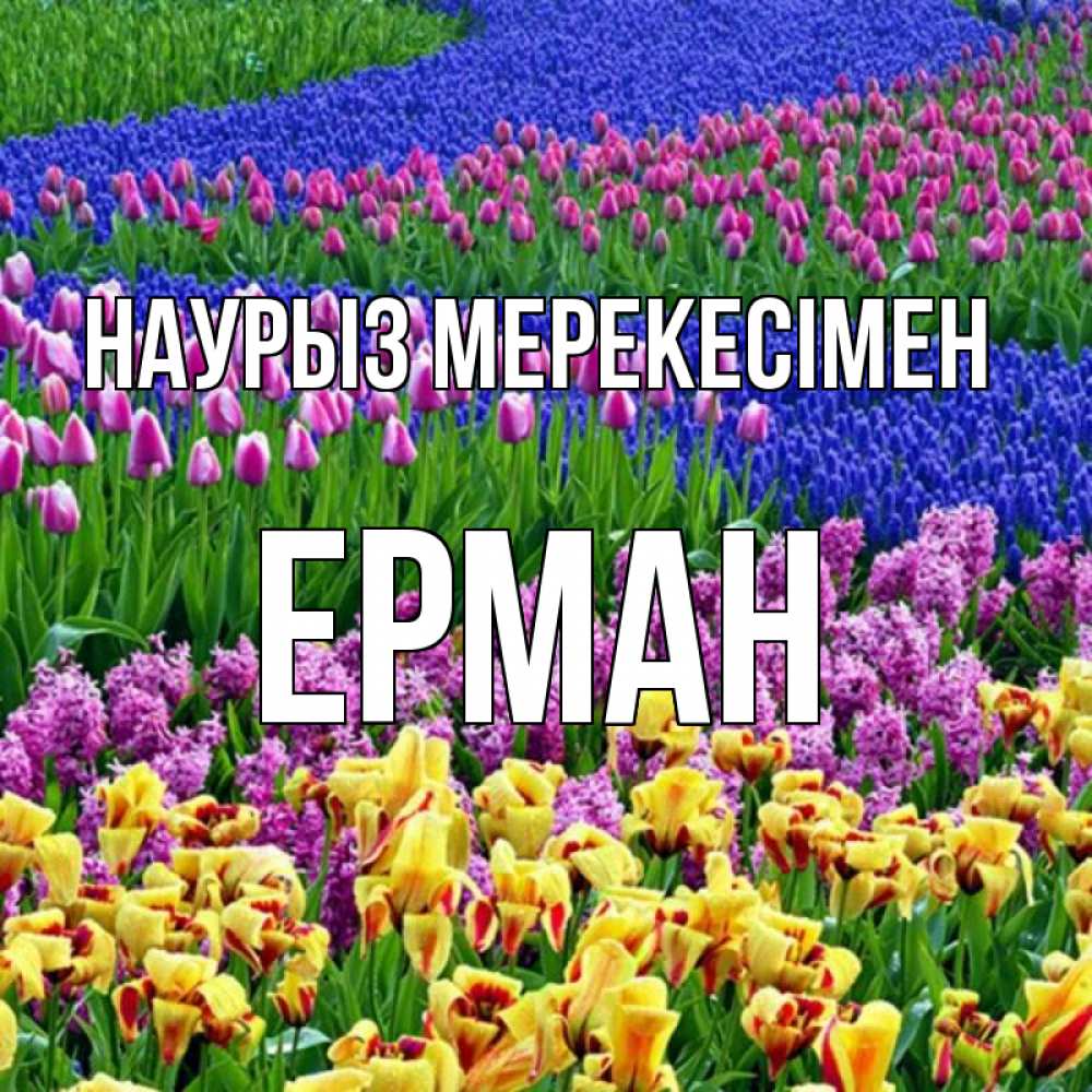 Күн сайын ашық хат с именем, Ерман Наурыз мерекесімен цветы Онлайн тегін жүктеп алу тілектері бар керемет карта 