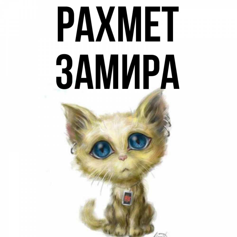 Күн сайын ашық хат с именем, ЗАМИРА рахмет рисованный кот благодарит вас Онлайн тегін жүктеп алу тілектері бар керемет карта 