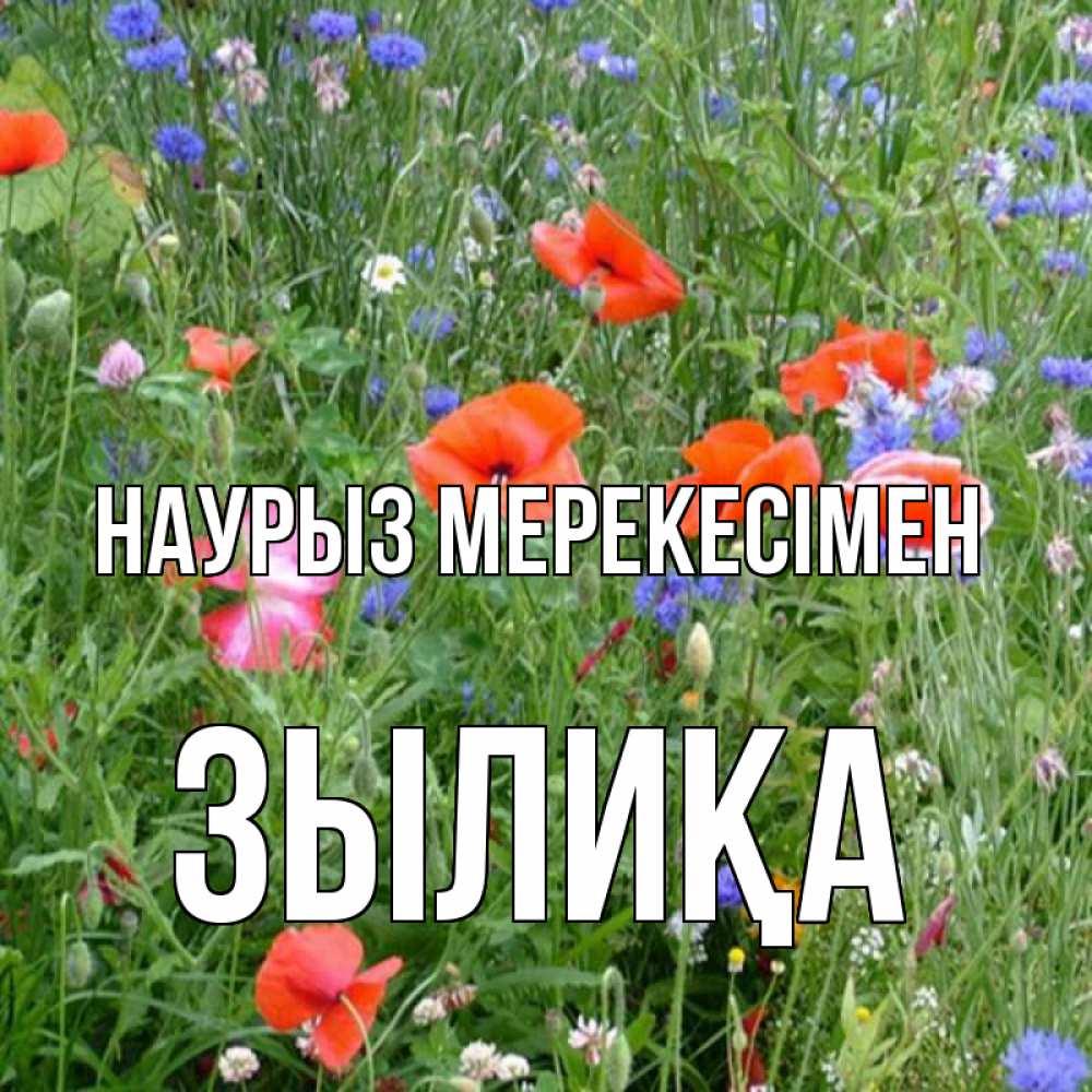 Күн сайын ашық хат с именем, ЗЫЛИҚА Наурыз мерекесімен праздник весны наурыз супер открытка Онлайн тегін жүктеп алу тілектері бар керемет карта 