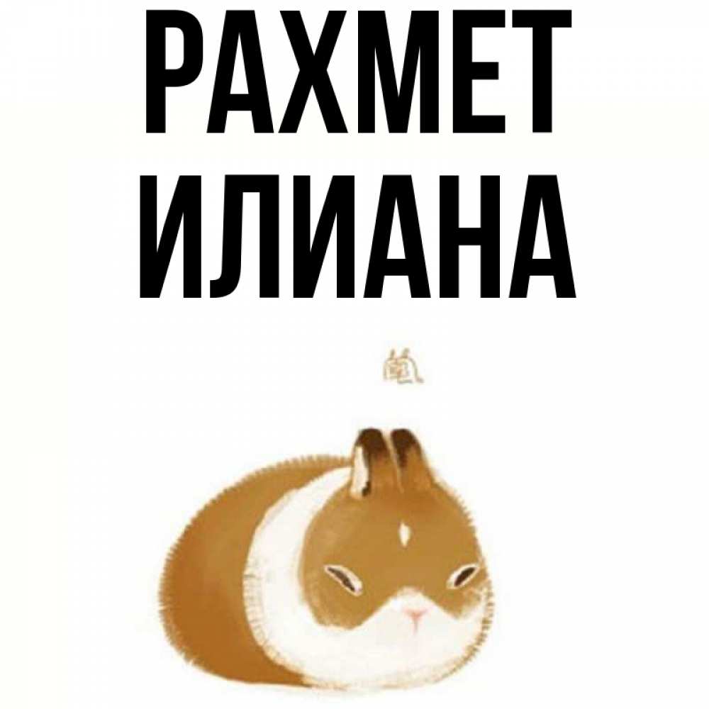 Күн сайын ашық хат с именем, Илиана рахмет коричнево белый домашний питомец Онлайн тегін жүктеп алу тілектері бар керемет карта 