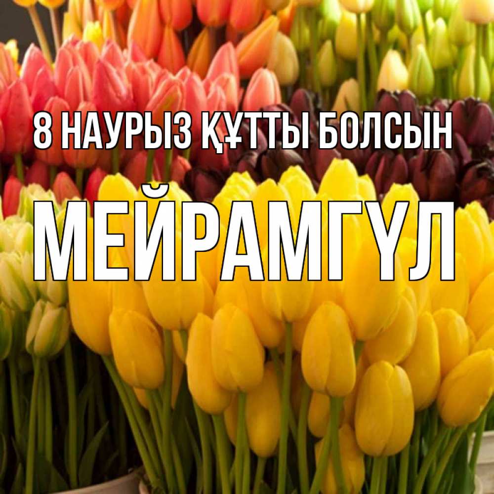 Күн сайын ашық хат с именем, МЕЙРАМГҮЛ 8 наурыз құтты болсын цветы Онлайн тегін жүктеп алу тілектері бар керемет карта 