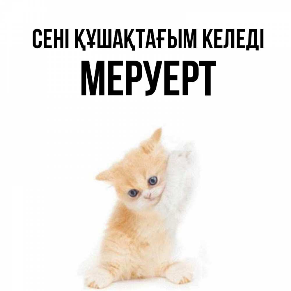 Күн сайын ашық хат с именем, МЕРУЕРТ сені құшақтағым келеді я хочу очень скорее обнимаешек Онлайн тегін жүктеп алу тілектері бар керемет карта 