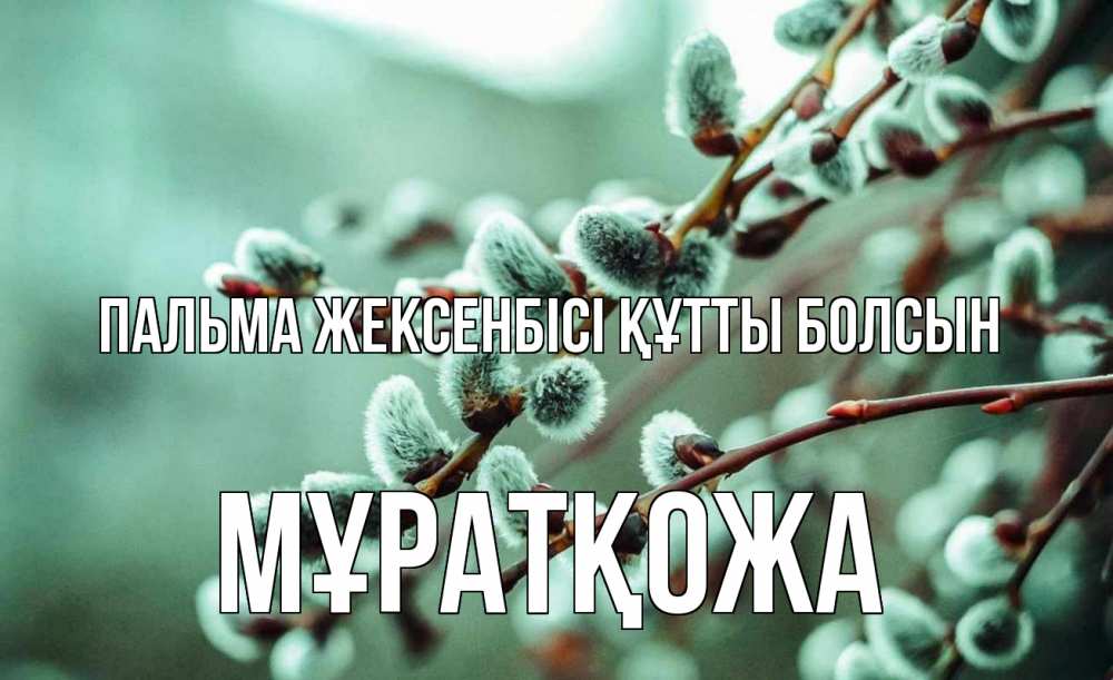 Күн сайын ашық хат с именем, Мұратқожа Пальма жексенбісі құтты болсын верба Онлайн тегін жүктеп алу тілектері бар керемет карта 