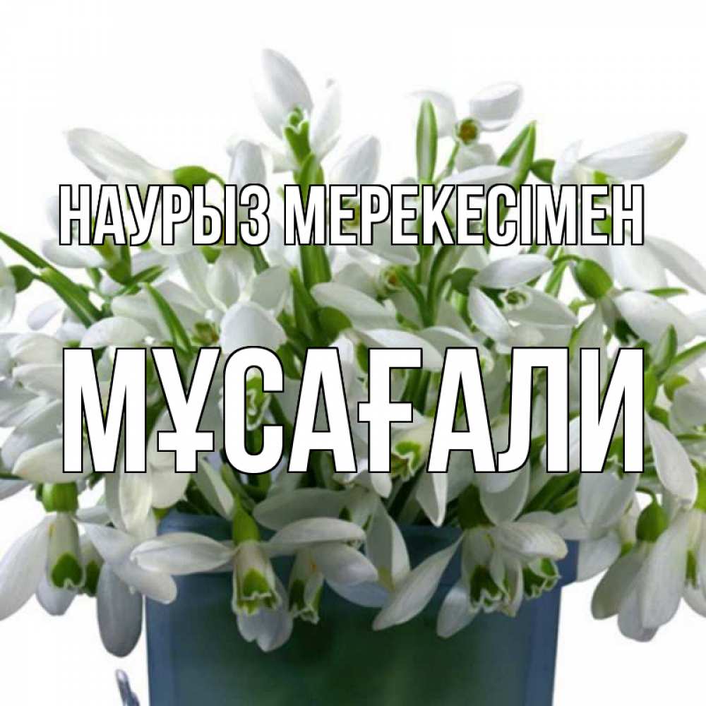 Күн сайын ашық хат с именем, Мұсағали Наурыз мерекесімен цветы к наурызу новый год в Казахстане Онлайн тегін жүктеп алу тілектері бар керемет карта 