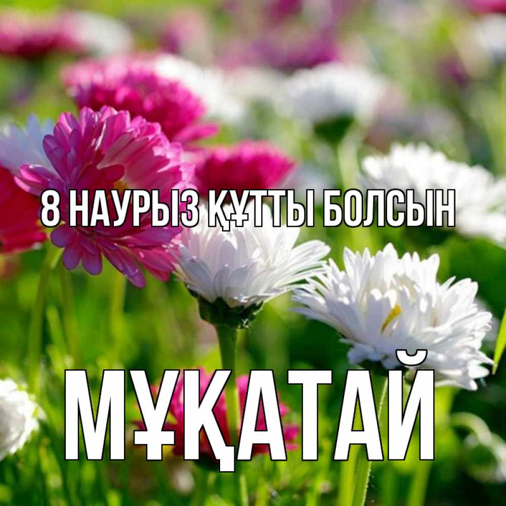 Күн сайын ашық хат с именем, Мұқатай 8 наурыз құтты болсын международный женский день 1 Онлайн тегін жүктеп алу тілектері бар керемет карта 