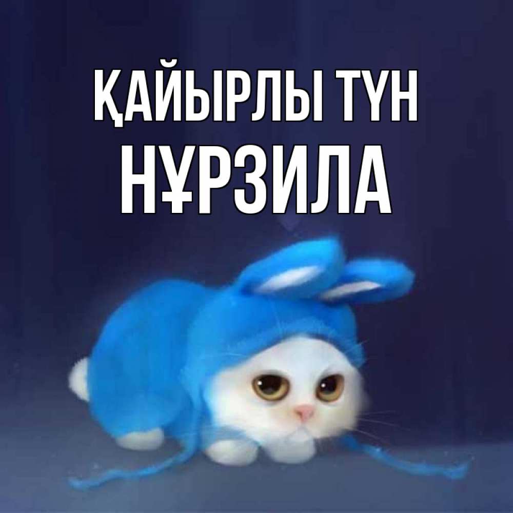 Күн сайын ашық хат с именем, НҰРЗИЛА Қайырлы түн кот в голубом костюме кролика с ушками Онлайн тегін жүктеп алу тілектері бар керемет карта 