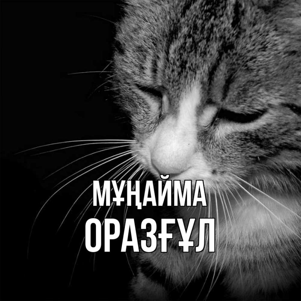 Күн сайын ашық хат с именем, ОРАЗҒҰЛ Мұңайма грустный котик Онлайн тегін жүктеп алу тілектері бар керемет карта 