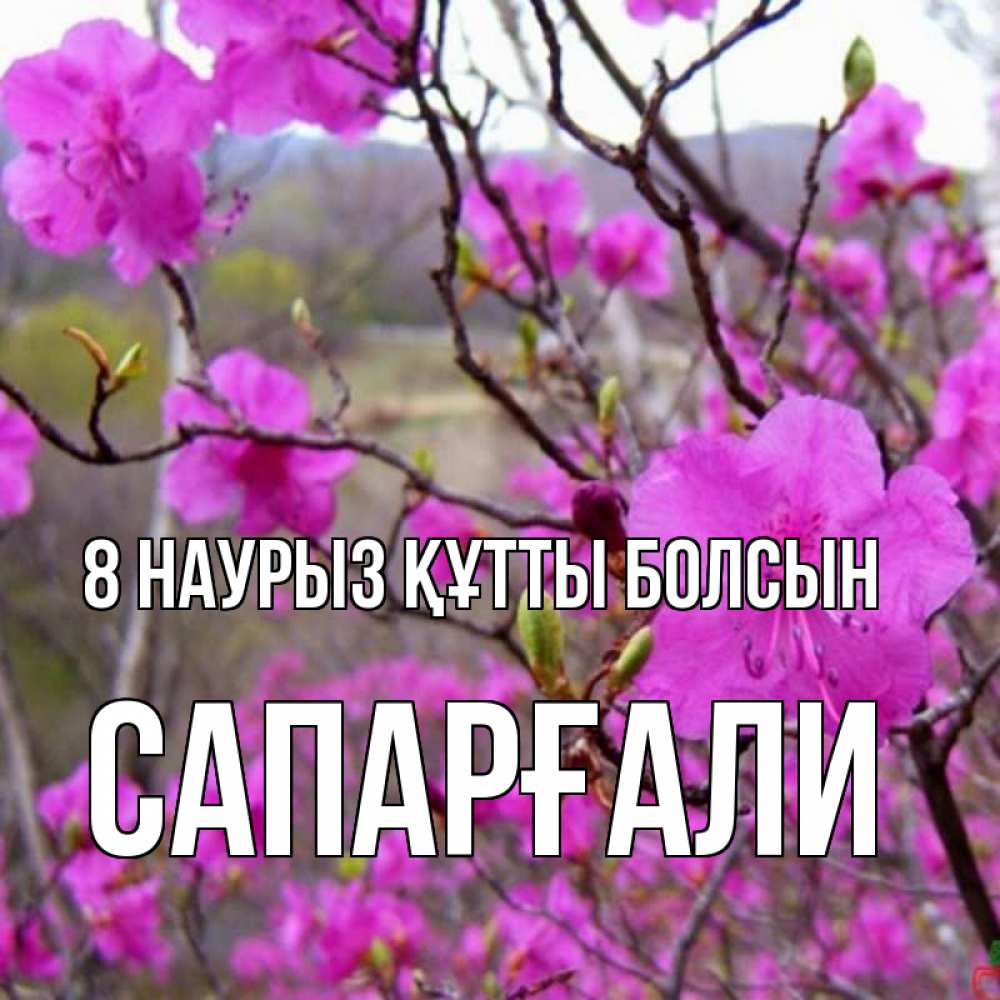 Күн сайын ашық хат с именем, САПАРҒАЛИ 8 наурыз құтты болсын международный женский день Онлайн тегін жүктеп алу тілектері бар керемет карта 