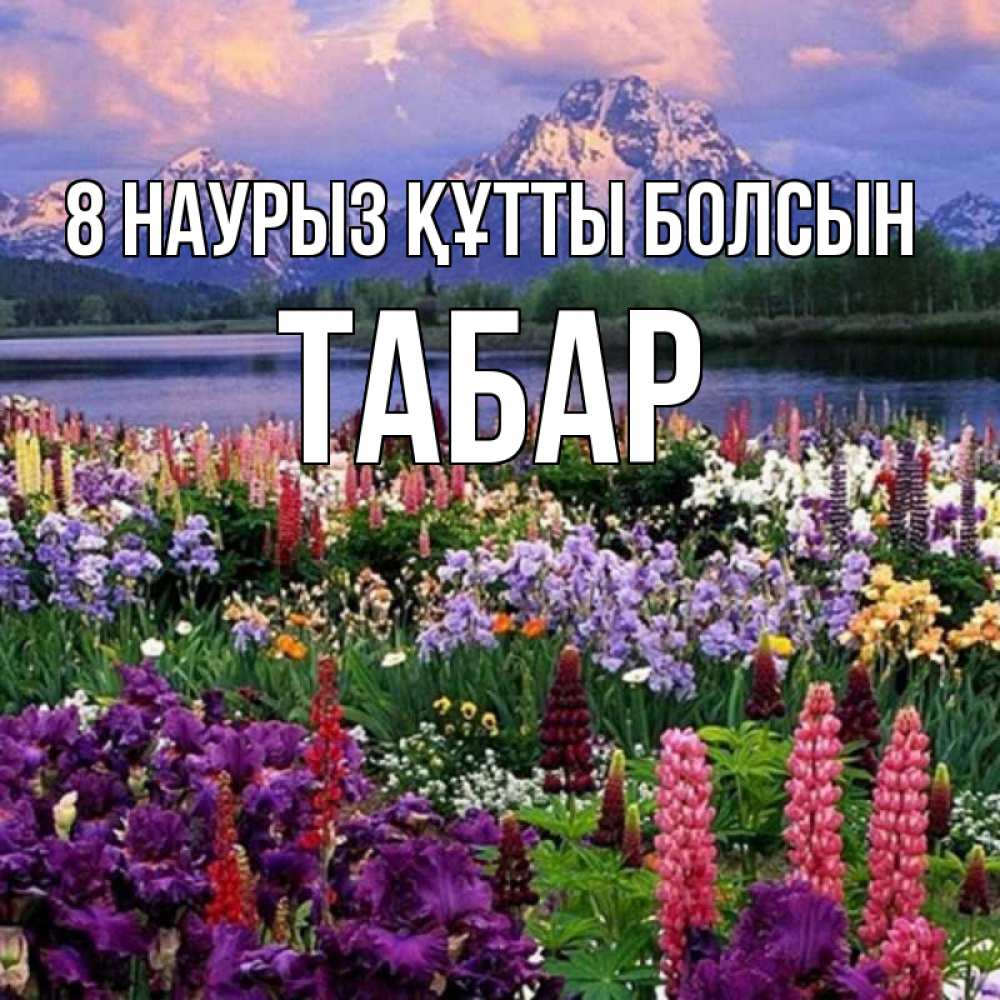 Күн сайын ашық хат с именем, ТАБАР 8 наурыз құтты болсын международный женский день Онлайн тегін жүктеп алу тілектері бар керемет карта 