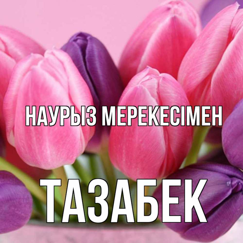 Күн сайын ашық хат с именем, ТАЗАБЕК Наурыз мерекесімен маме 1 Онлайн тегін жүктеп алу тілектері бар керемет карта 