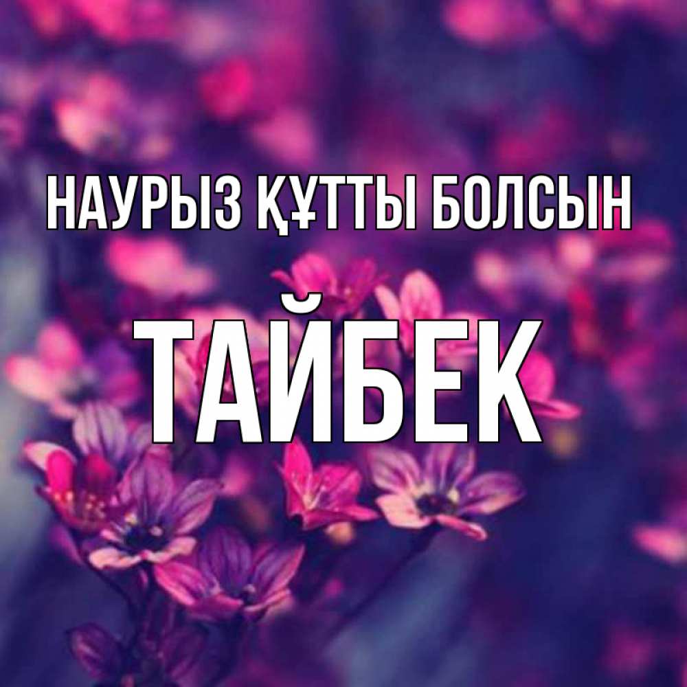 Күн сайын ашық хат с именем, ТАЙБЕК Наурыз құтты болсын небольшие цветы 1 Онлайн тегін жүктеп алу тілектері бар керемет карта 