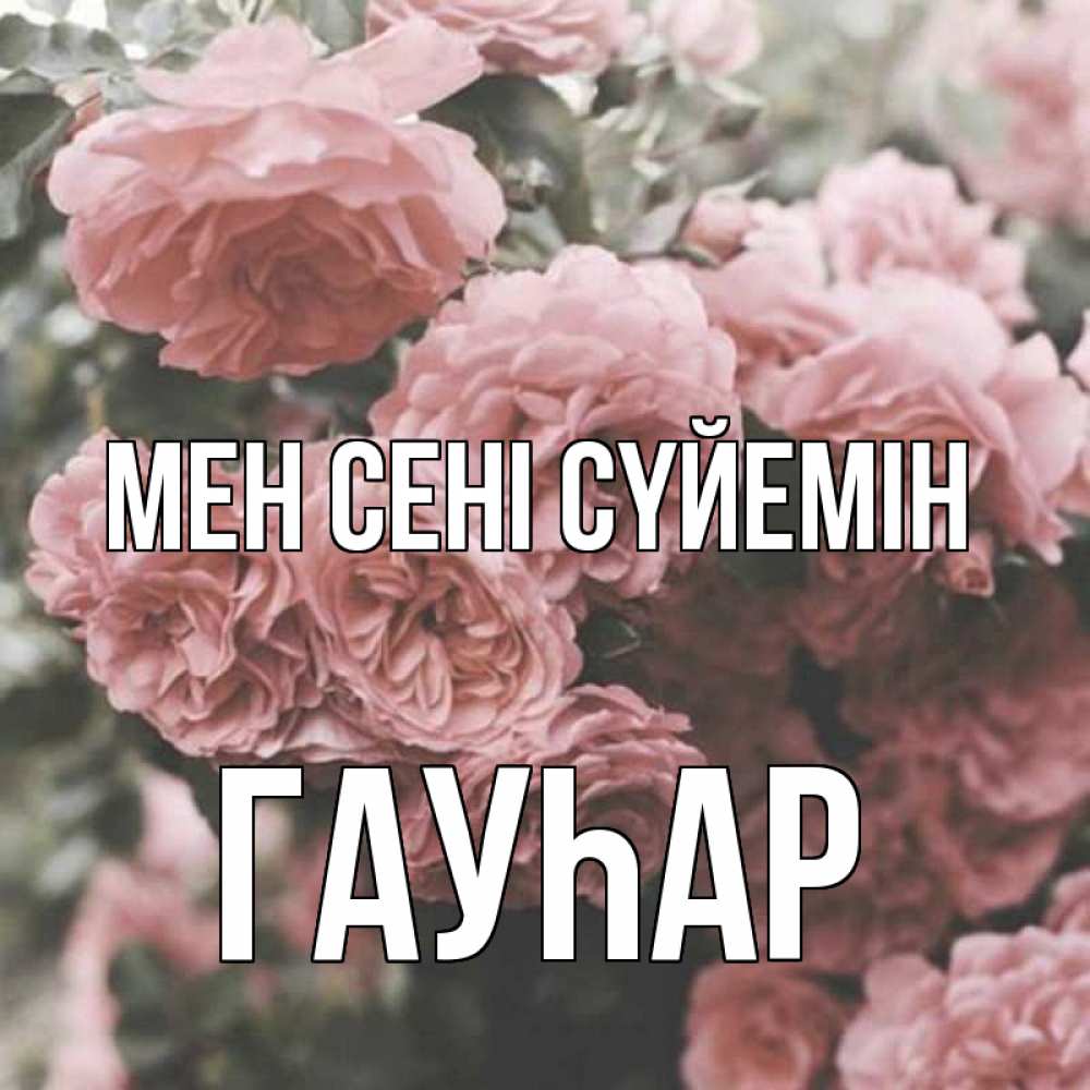 Күн сайын ашық хат с именем, Гауһар Мен сені сүйемін розы 3 Онлайн тегін жүктеп алу тілектері бар керемет карта 