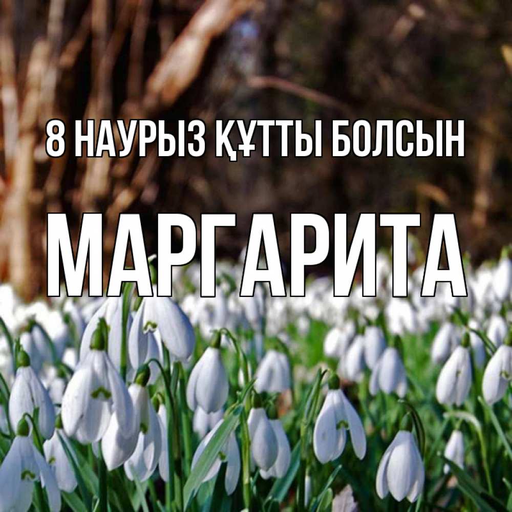 Күн сайын ашық хат с именем, Маргарита 8 наурыз құтты болсын с подснежниками 1 Онлайн тегін жүктеп алу тілектері бар керемет карта 