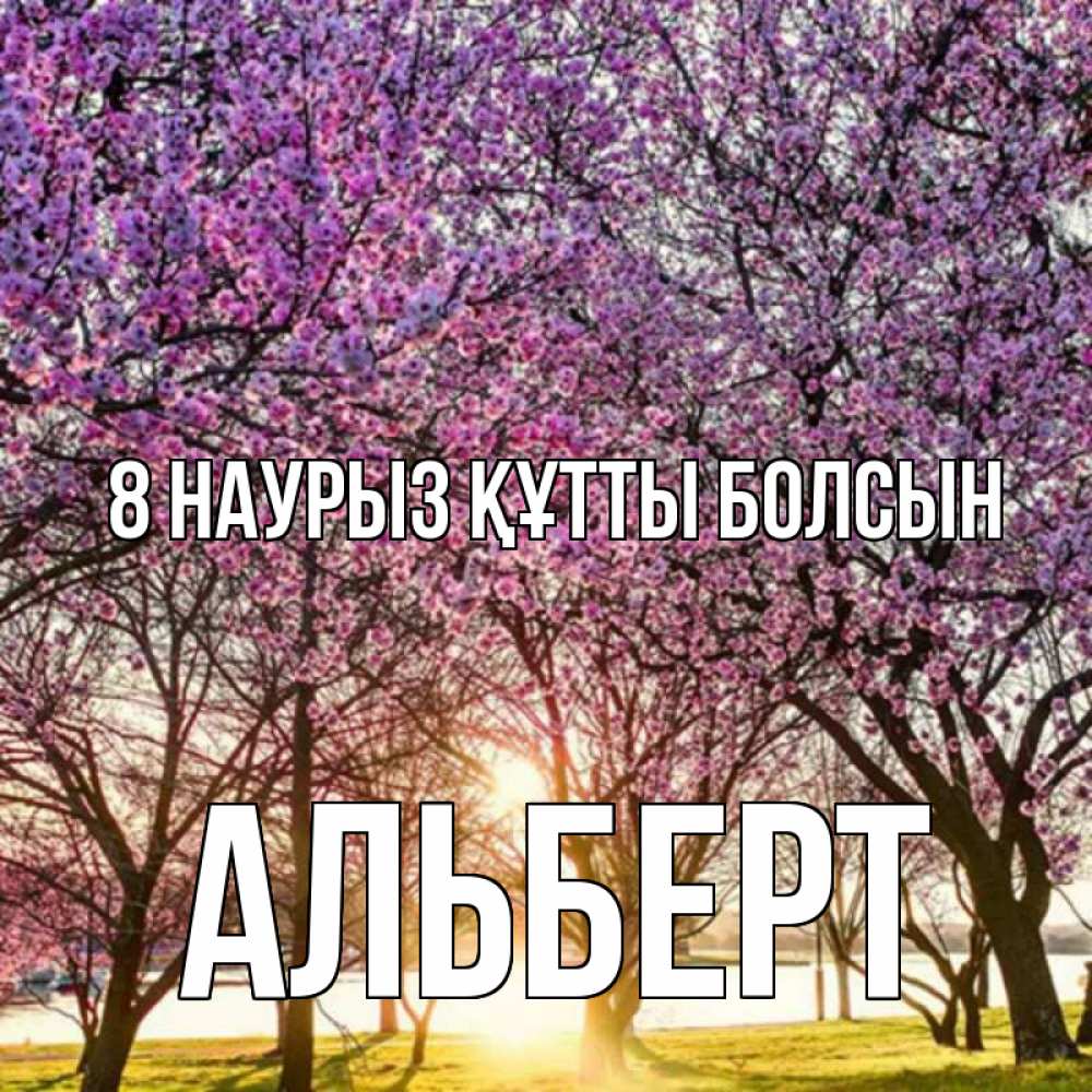 Күн сайын ашық хат с именем, Альберт 8 наурыз құтты болсын международный женский день Онлайн тегін жүктеп алу тілектері бар керемет карта 