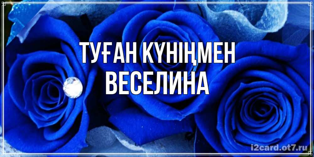 Күн сайын ашық хат с именем, Веселина Туған күніңмен синие розы в росе Онлайн тегін жүктеп алу тілектері бар керемет карта 