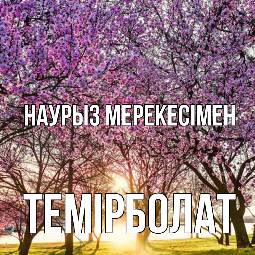 Күн сайын ашық хат с именем, ТЕМІРБОЛАТ Наурыз мерекесімен праздник весны наурыз Онлайн тегін жүктеп алу тілектері бар керемет карта 