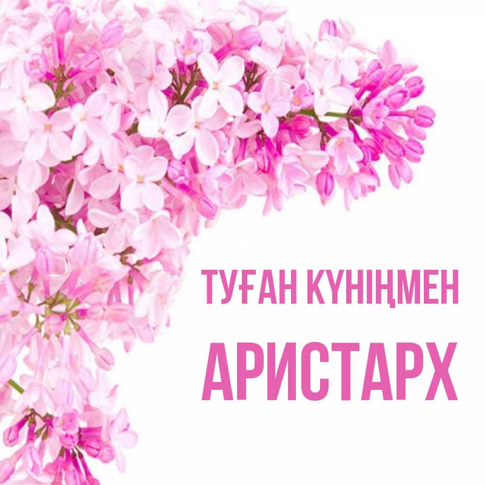Күн сайын ашық хат с именем, Аристарх Туған күніңмен Сирень на белом фоне Онлайн тегін жүктеп алу тілектері бар керемет карта 