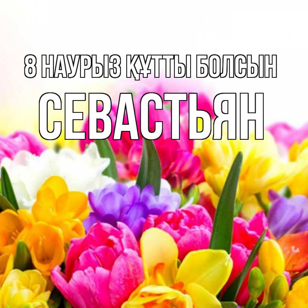 Күн сайын ашық хат с именем, Севастьян 8 наурыз құтты болсын тюльпаны Онлайн тегін жүктеп алу тілектері бар керемет карта 