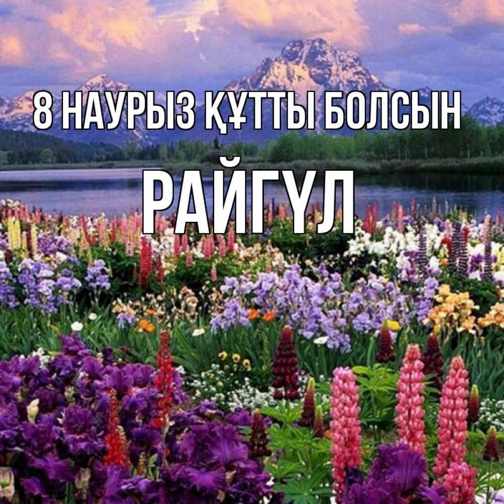 Күн сайын ашық хат с именем, РАЙГҮЛ 8 наурыз құтты болсын международный женский день Онлайн тегін жүктеп алу тілектері бар керемет карта 