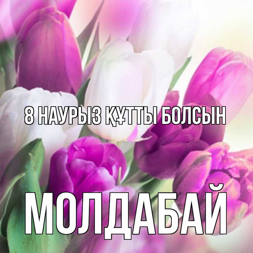 Күн сайын ашық хат с именем, МОЛДАБАЙ 8 наурыз құтты болсын весна 1 Онлайн тегін жүктеп алу тілектері бар керемет карта 