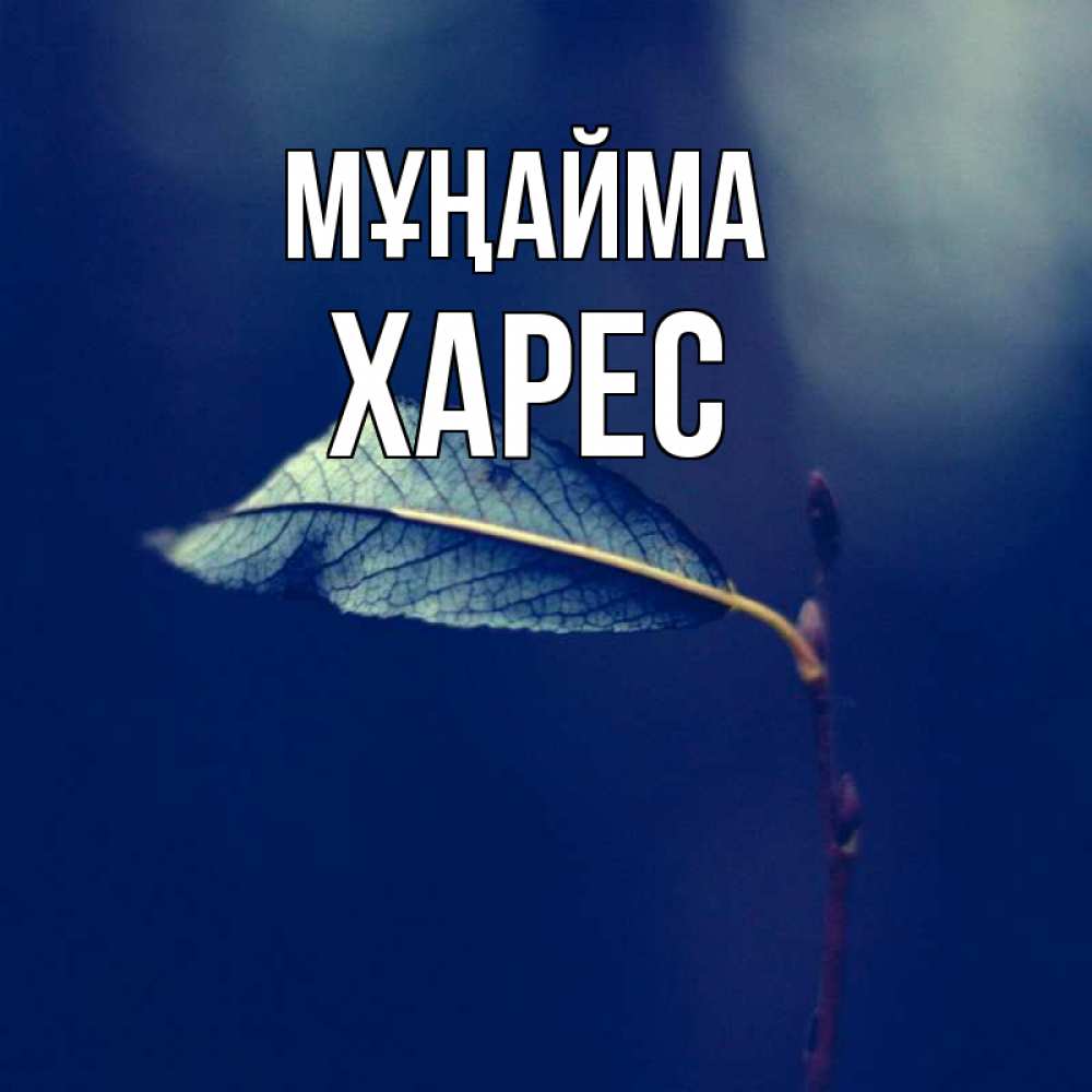 Күн сайын ашық хат с именем, ХАРЕС Мұңайма растение Онлайн тегін жүктеп алу тілектері бар керемет карта 