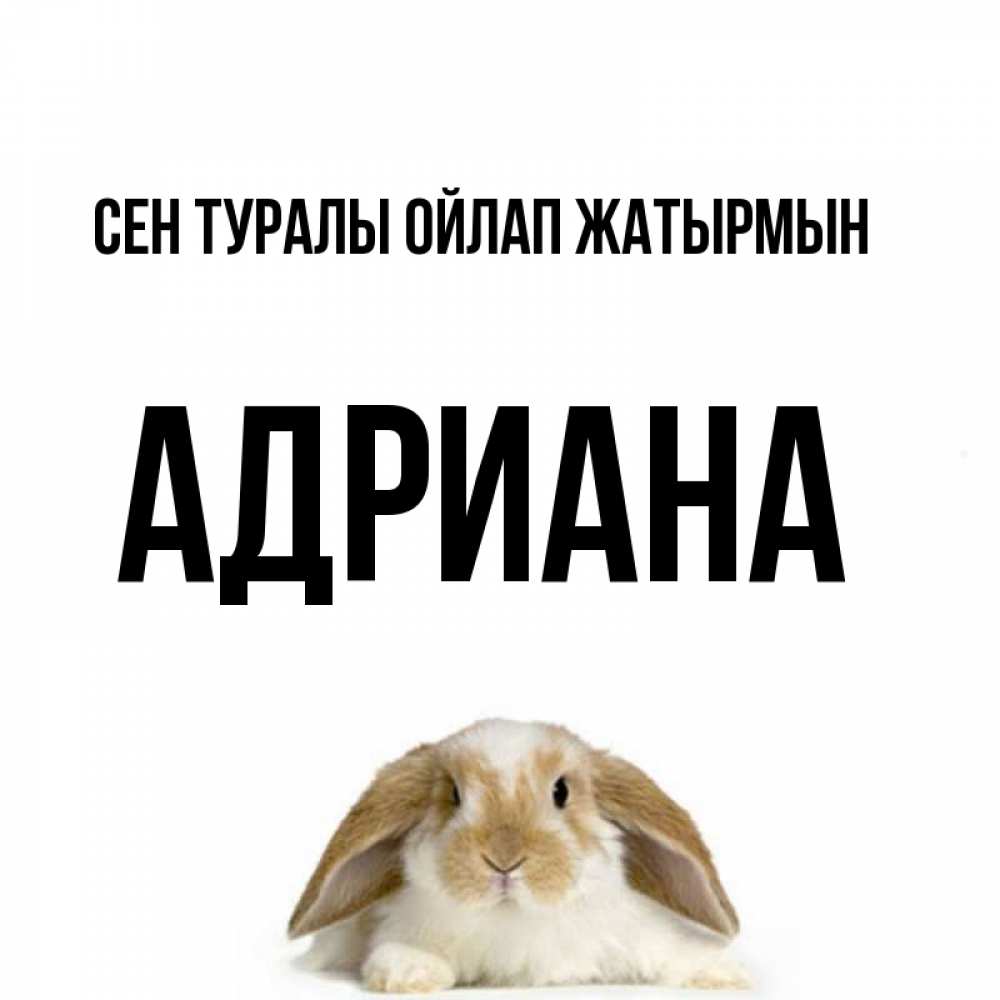 Күн сайын ашық хат с именем, Адриана Сен туралы ойлап жатырмын подписать своими руками онлайн Онлайн тегін жүктеп алу тілектері бар керемет карта 