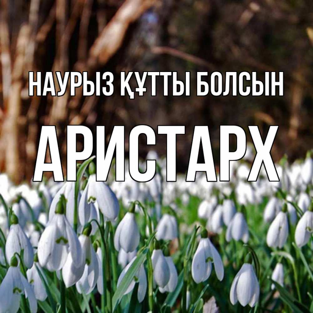 Күн сайын ашық хат с именем, Аристарх Наурыз құтты болсын с подснежниками 1 Онлайн тегін жүктеп алу тілектері бар керемет карта 