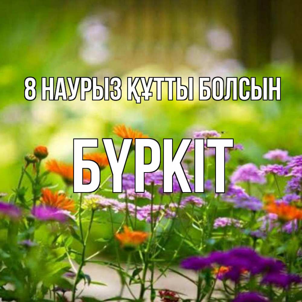 Күн сайын ашық хат с именем, Бүркіт 8 наурыз құтты болсын цветы Онлайн тегін жүктеп алу тілектері бар керемет карта 