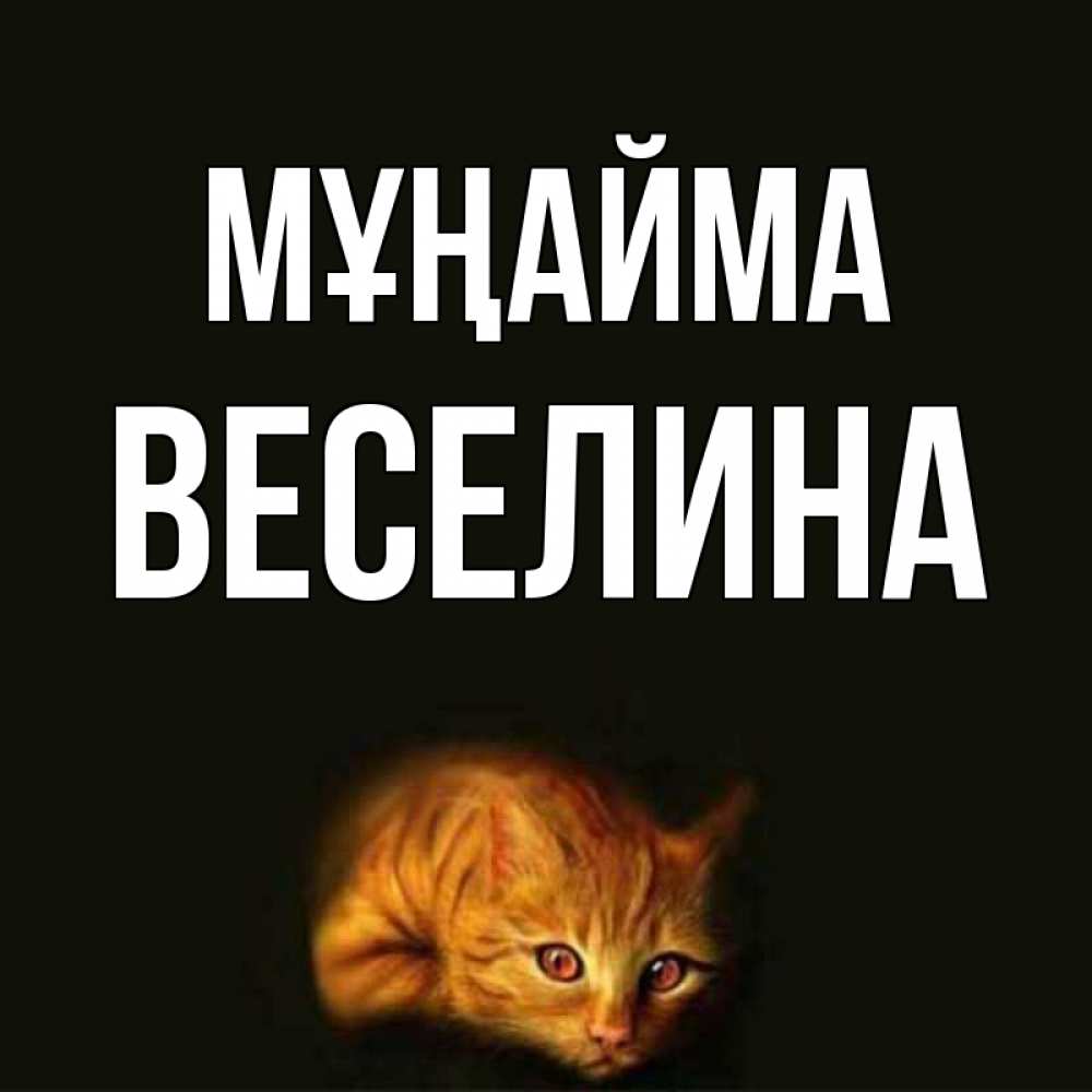 Күн сайын ашық хат с именем, Веселина Мұңайма лежащий кот в темноте Онлайн тегін жүктеп алу тілектері бар керемет карта 